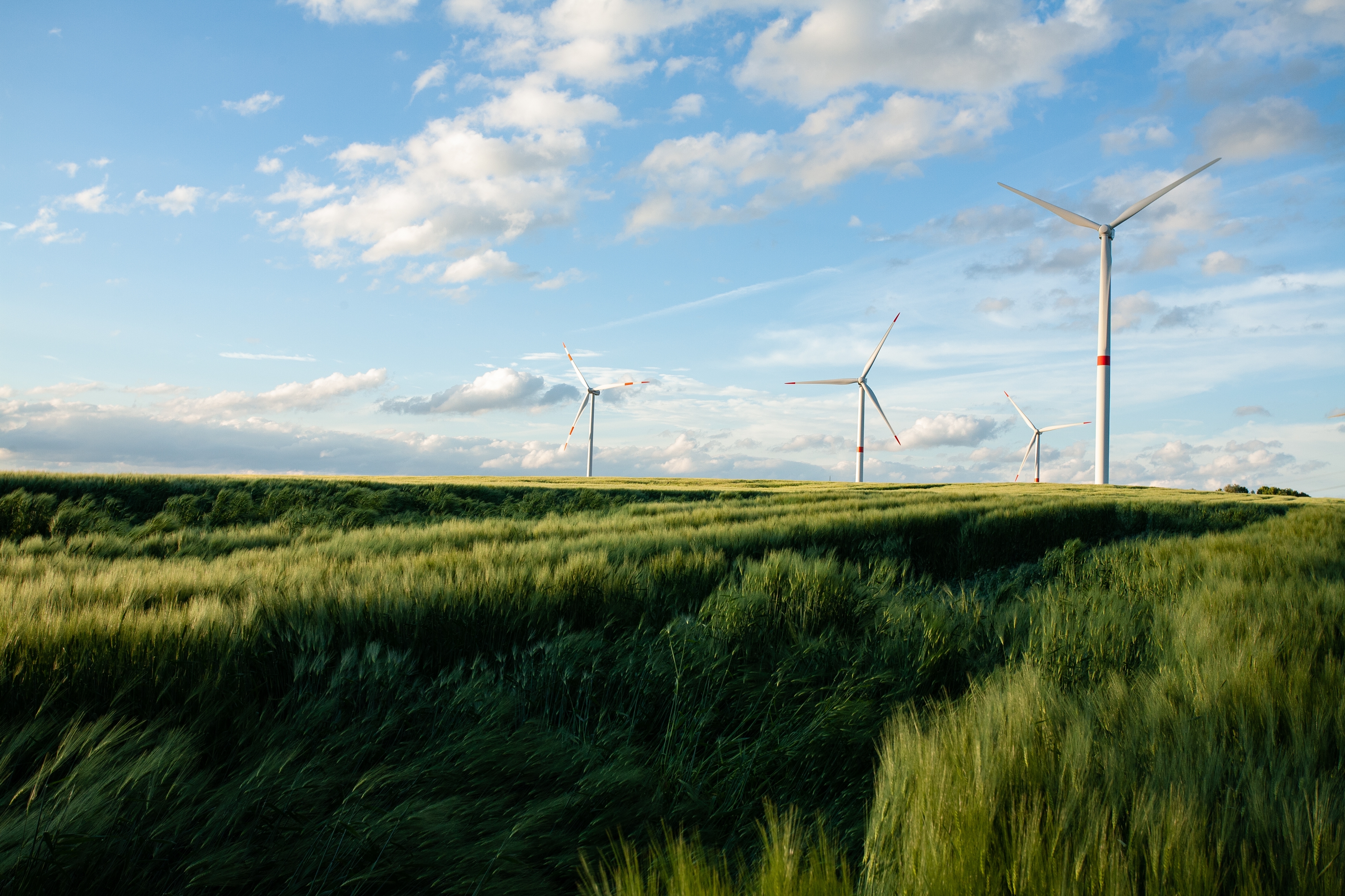 beautiful-grassy-field-with-windmills-distance-blue-sky>
